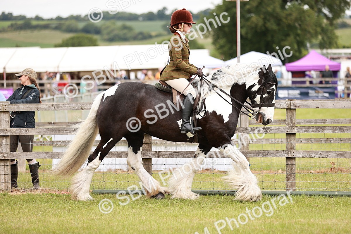 SBM_06103 - Class 39-41 TGCA In Hand and Ridden