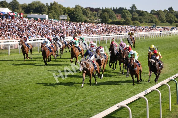 yr09072022r7-18 - Race 7 5.15pm John Smith's Sprint Stakes
