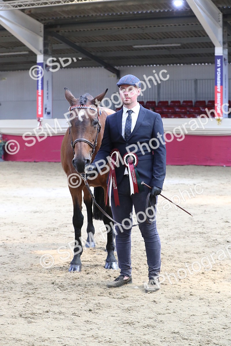 SBM_04474 - Class 7R Regional - IH Diamond