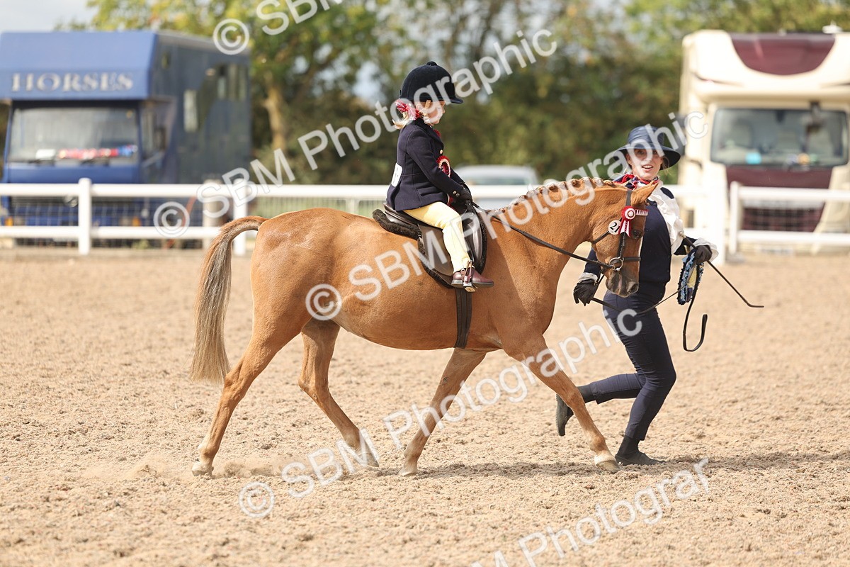 SBM_15850 - Class 309 - Lead Rein Pony