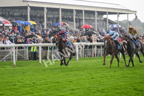 080924-Race 4-Zain Blue-9227 - Race 4 3.25pm PJ Staffing Group Handicap