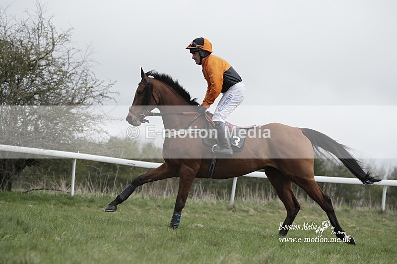 PtP 260323 0673 - New Forest Hounds Point-to-Point Larkhill 26/03/23