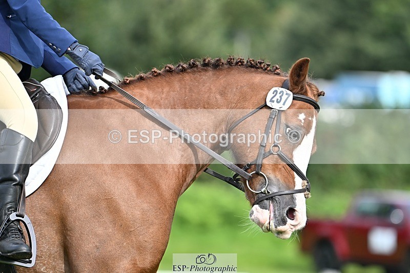 230826-100351-16346 - Sections A & B 10 to End