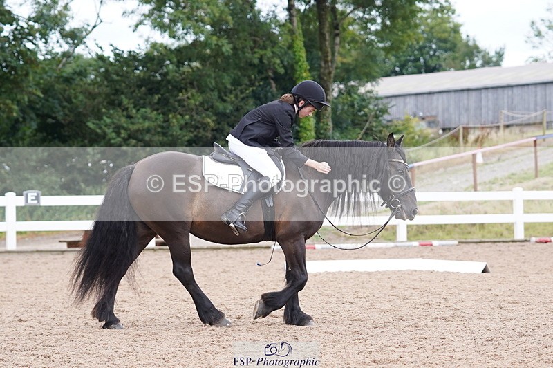 240809A-095442-00360 - Dressage Competition