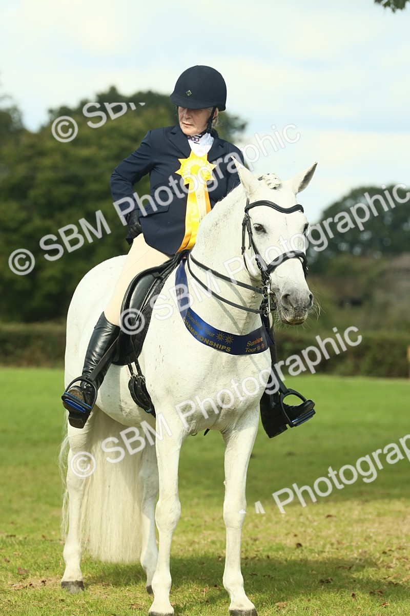 SBM_62531 - S62 - Foreign Breeds Ridden
