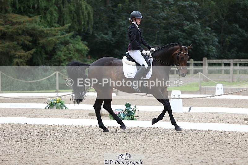 230812-094829-03026 - Cls 5 Novice Bronze Start to 10.55 break