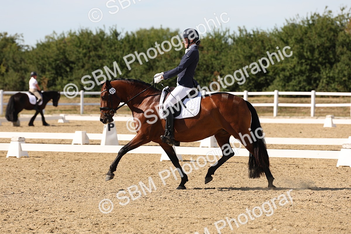 SBM_003811 - Elementary 4