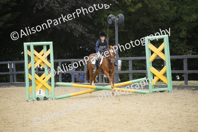 20250622-3988 - 50cm