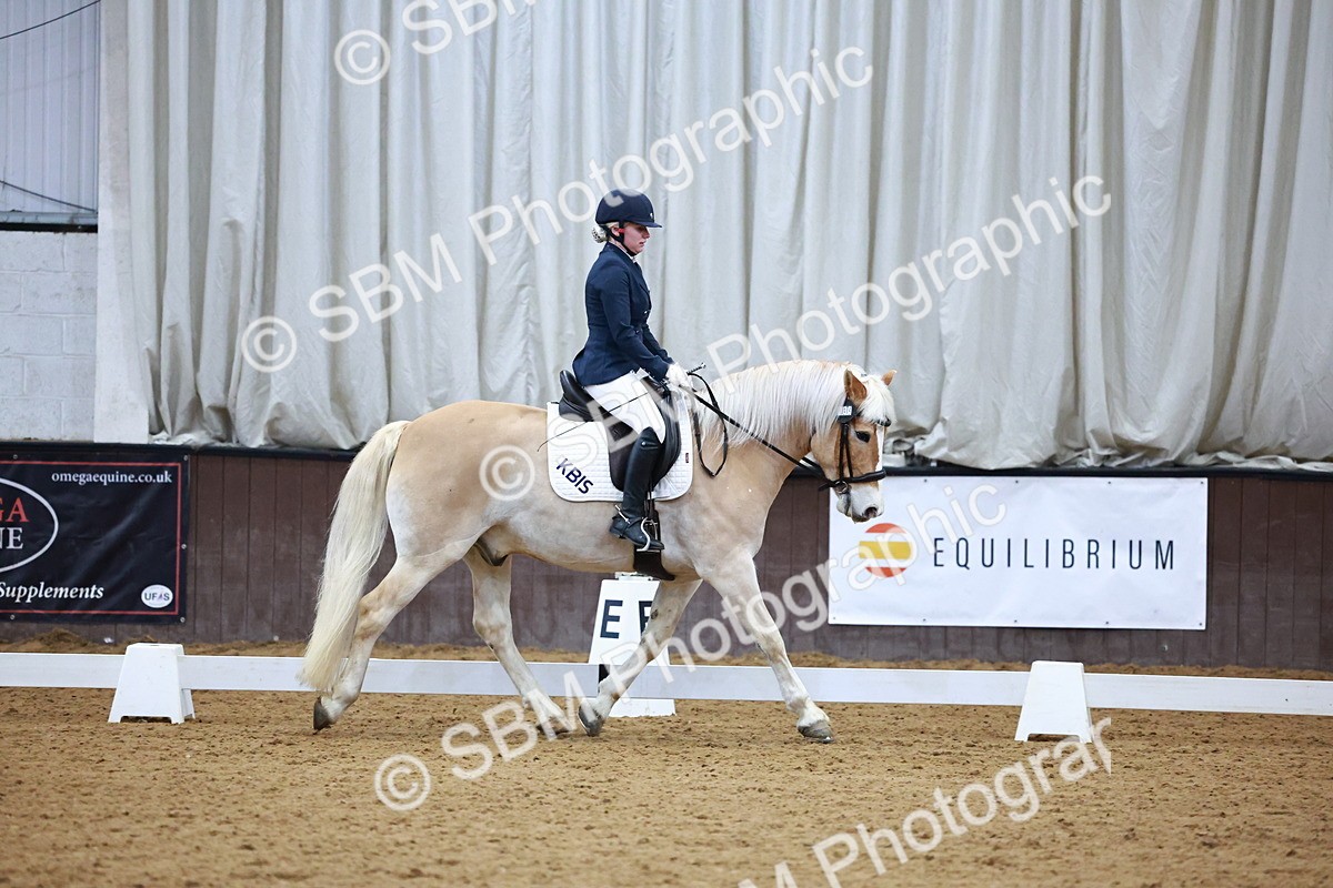 SBM_002871 - Novice Music