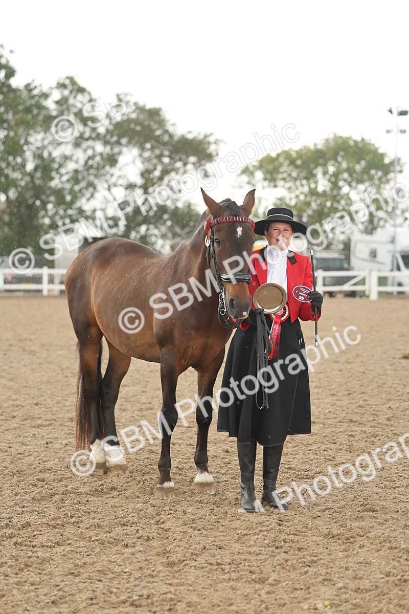 SBM_07711 - Class 26 - IH Foreign Breeds - Part Bred
