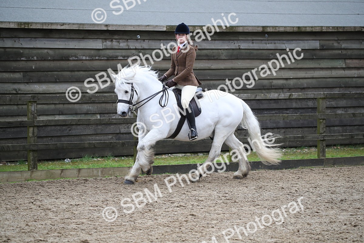 SBM_006162 - Class 10-13 - RIHS Small Large Breeds