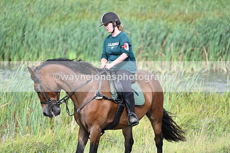 WJ7_4886 - Time 11:17 to 11:22