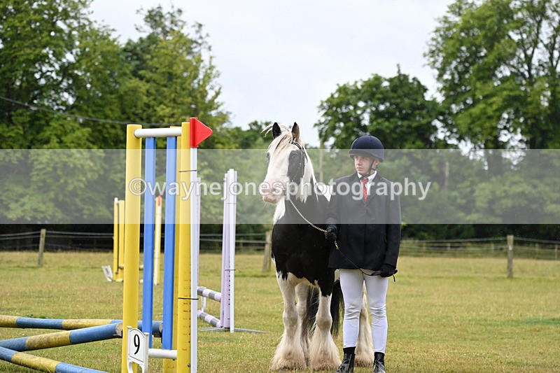WJ6_8920 - Class 10 Coloured in-hand