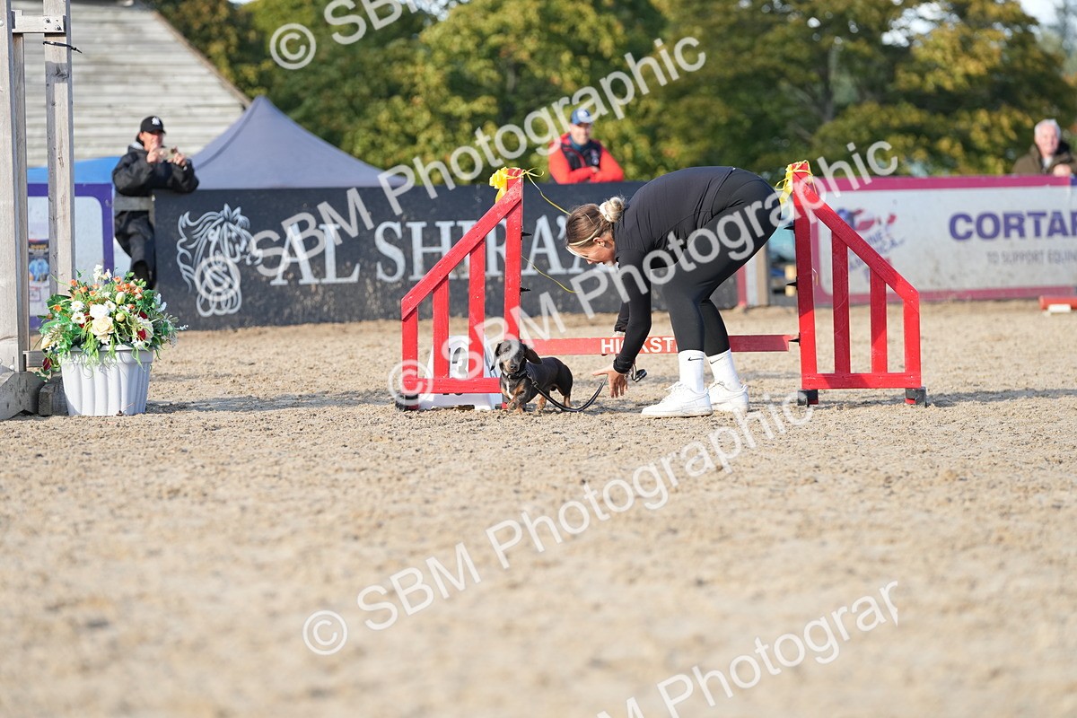 SBM_29038 - J43 - Horse & Hound Open 50cm