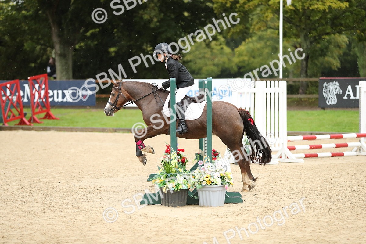 SBM_34385 - J60 Clear Round 50cm