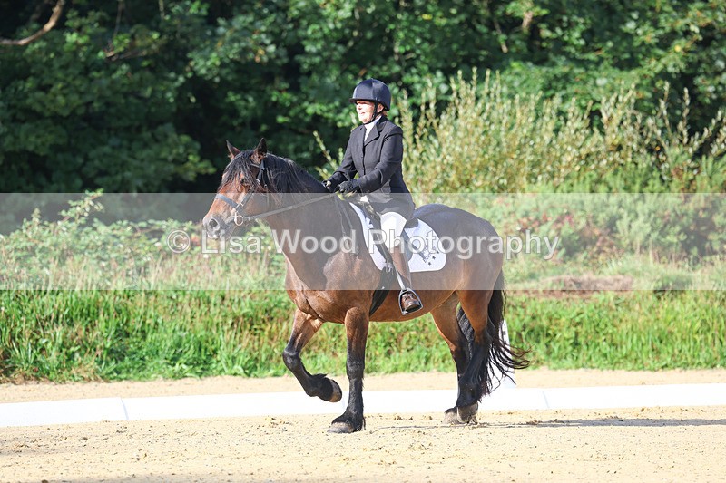 3E7A1863 - Class 1: Intro 4 2024 section A