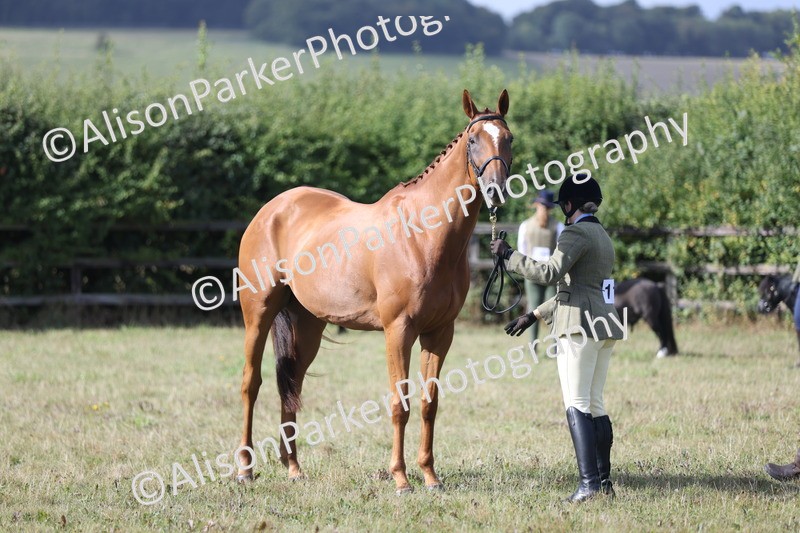 20250831-1411 - Class 21 - Inhand Open