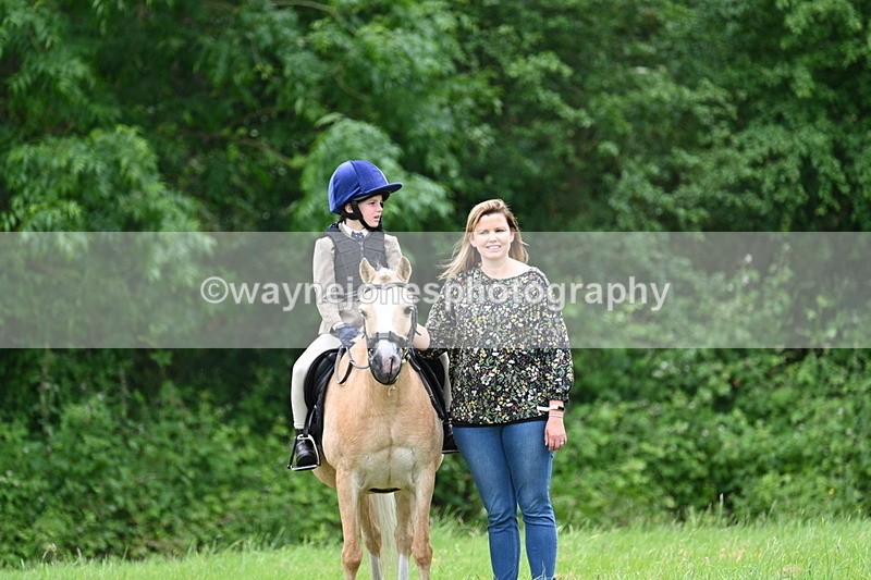 WJ7_4147 - Class 14A Handsome Gelding
