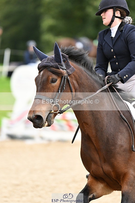 240929-104010-00349 - Cls 1 70-75cm