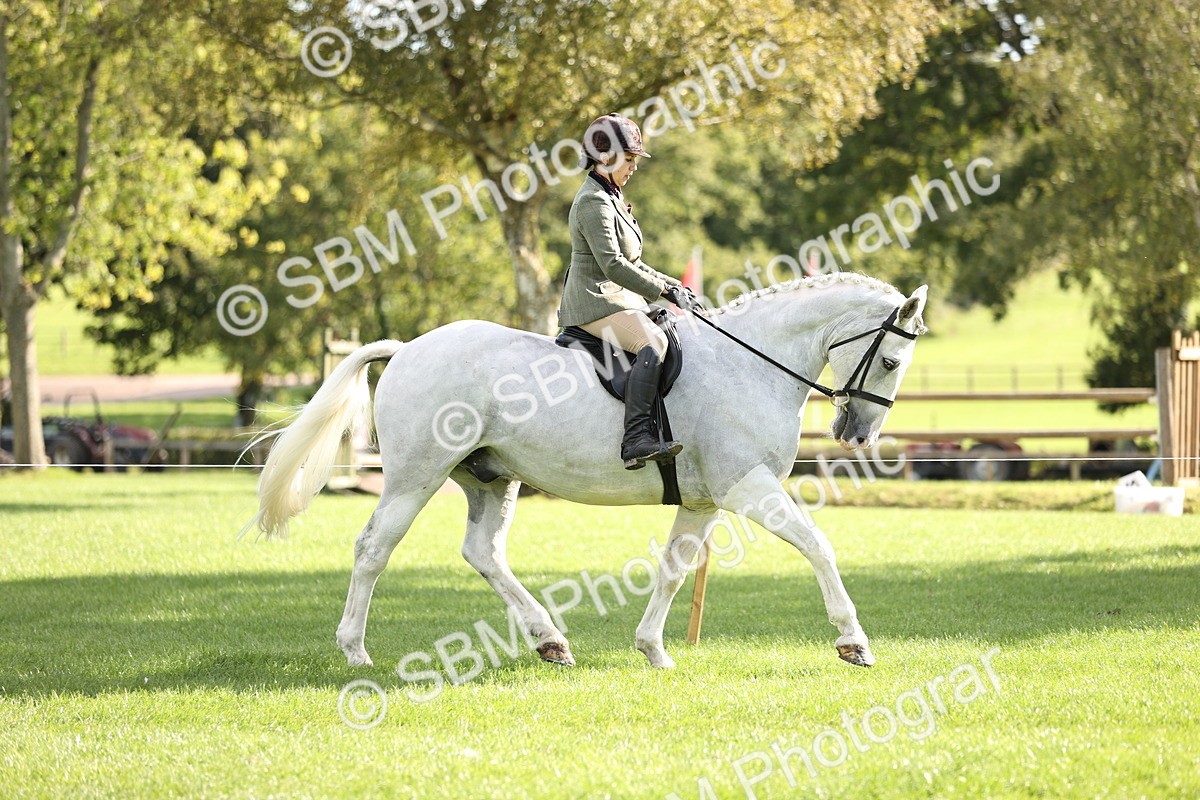 SBM_26366 - S6 - Novice & Newcomers Ridden Horse