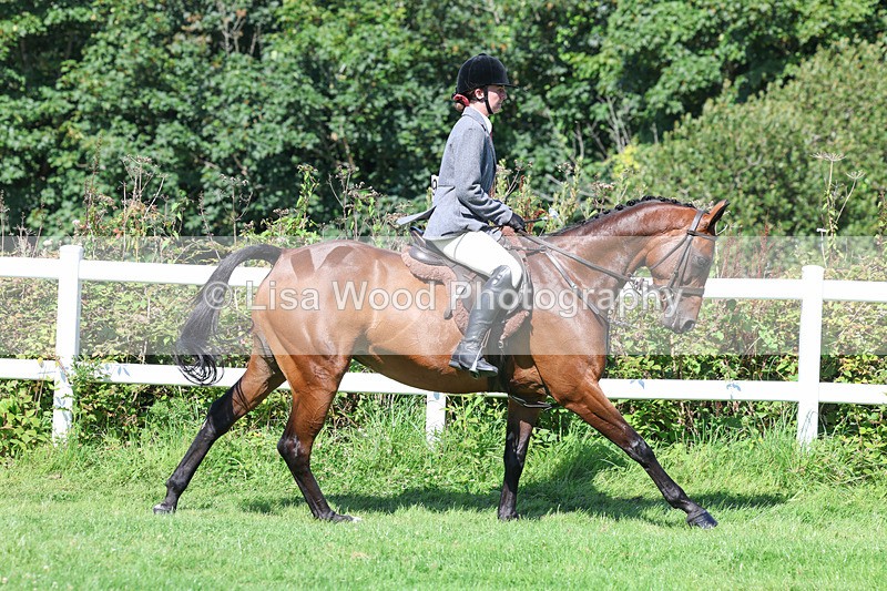 3E7A8360 - Class 4: Novice working Hunter