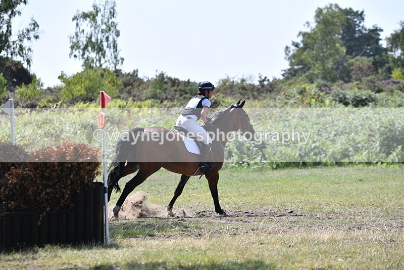 WJ5_3472 - XC Time 13:30 to 14:00