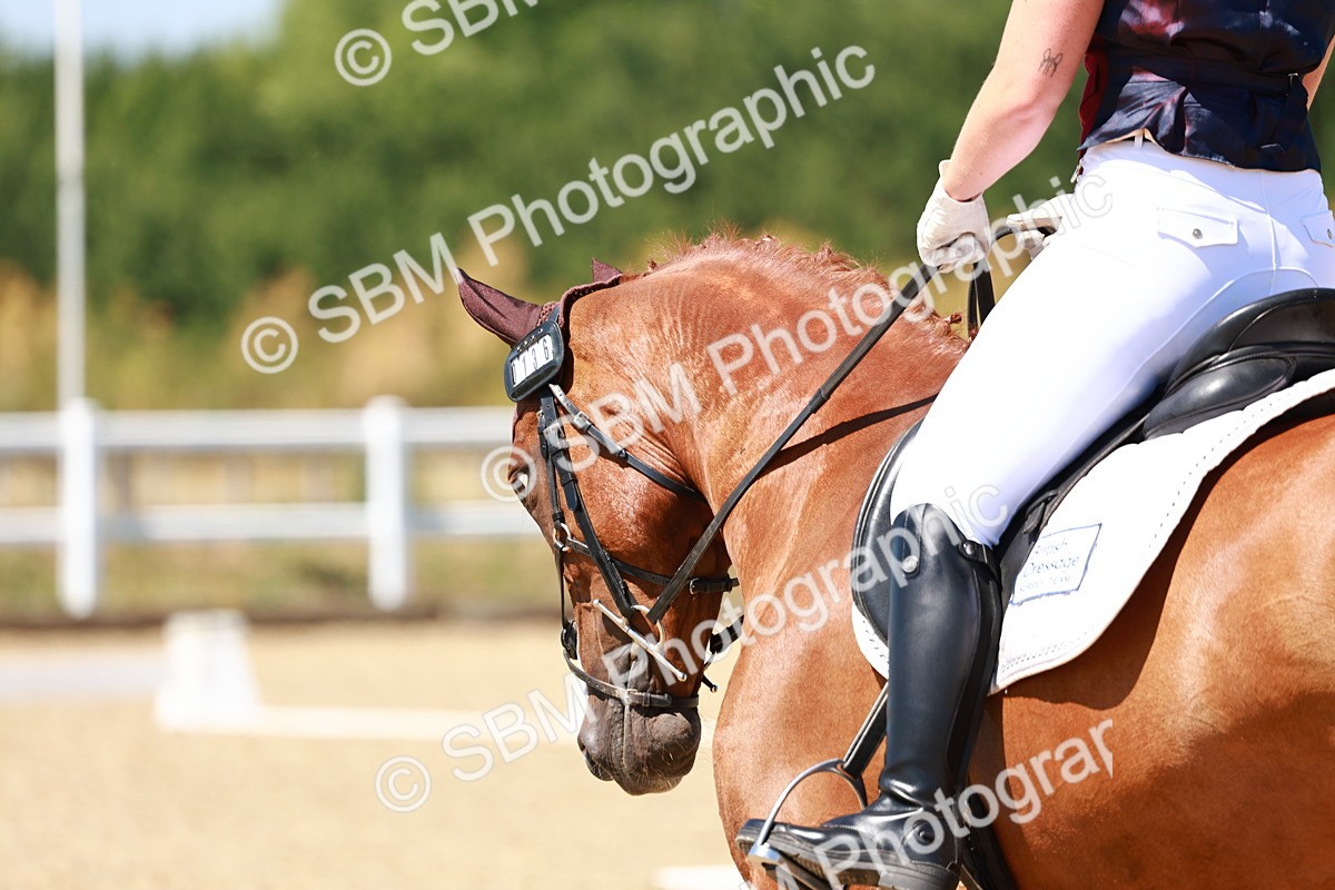 SBM_011725 - Intro 3 - 13.00-14.10