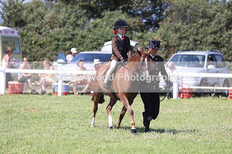 JPP_2291 - Class 20: Tiny Tots Working Hunter Pony