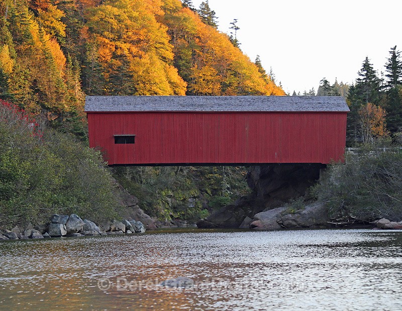 New Brunswick Autumn Foliage - Point Wolfe Covered Bridge - Autumn Foliage