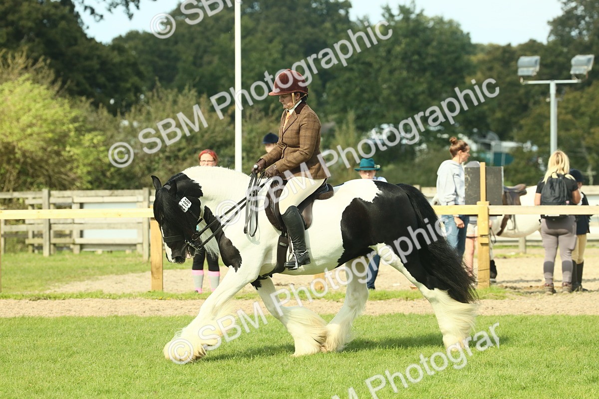 SBM_68789 - S58 - Mini Show Cob Ridden
