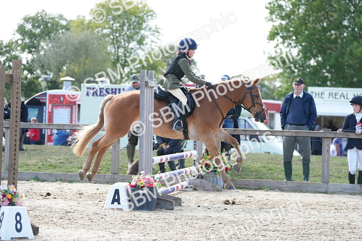 SBM_48475 - J7 - Junior Pony 60cm Championship