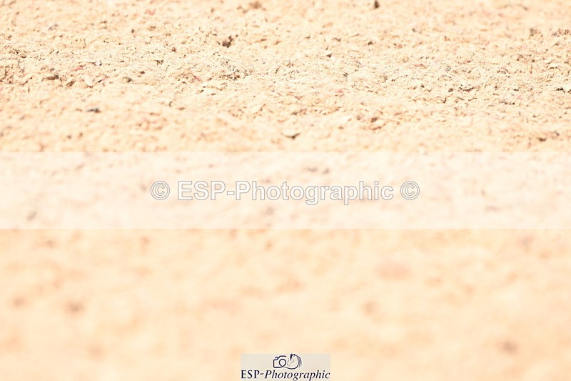 240324A-134146-03470 - Novice 28, 13.00 to 14.00