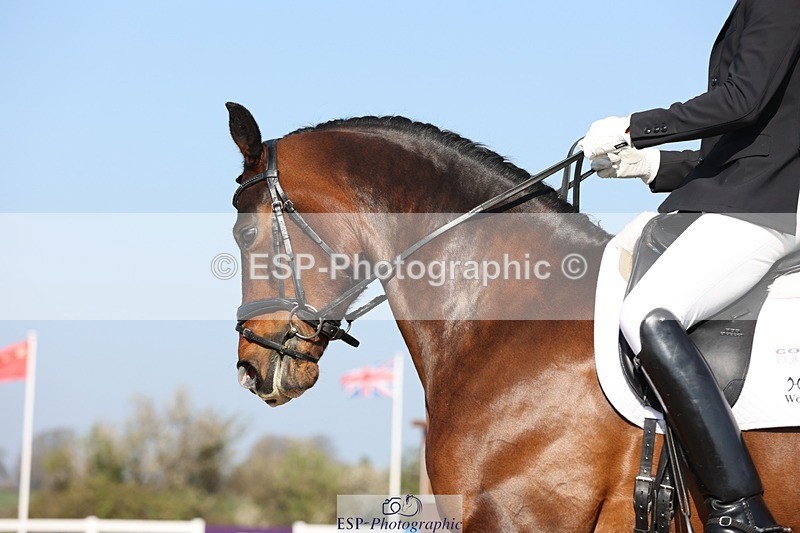 250405-103206-09512 - 094-Jacob.Denham-Woodcroft.Dantes.Romancier