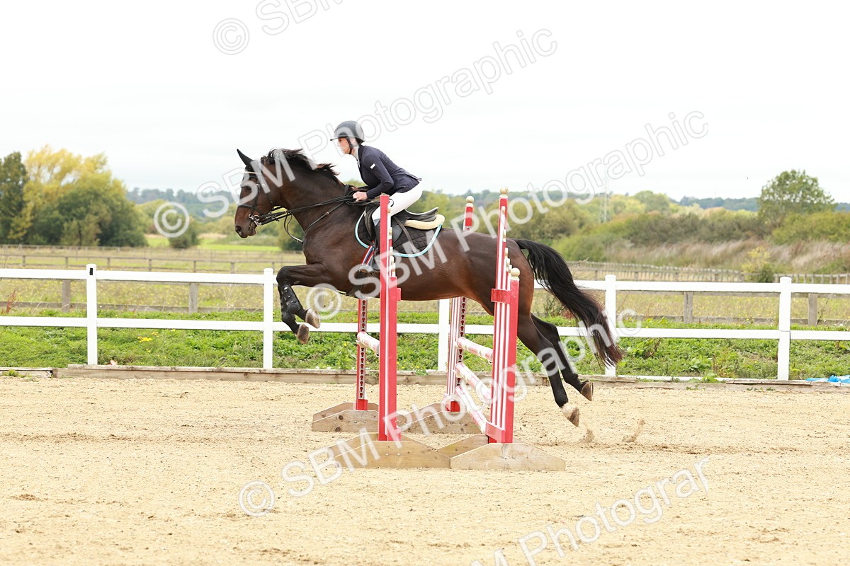 1I0A6942 - Class 2 - Senior British Novice