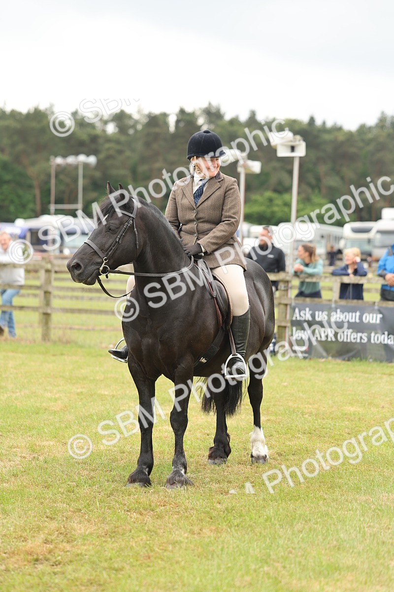 SBM_07257 - Class 76-77 - Ridden M&M Welsh Ponies