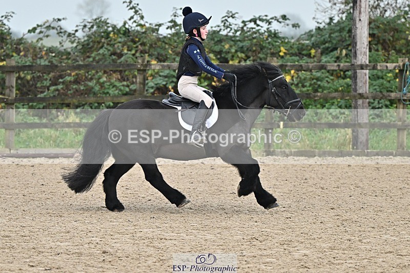 241110-101709-00243 - 40cm Showjumping