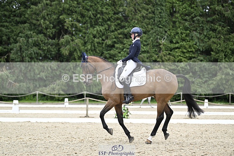 240523-145205-05121 - 442-FERNHILL_ZORO-Cassie_Sanger