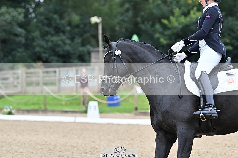 240810-102605-02664 - 235-Rebecca.Cowderoy-Nights.Dream