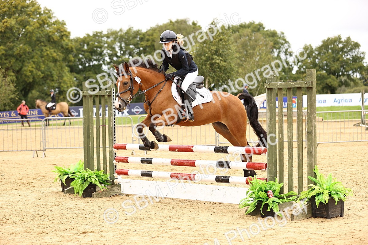 SBM_65648 - J17 - Junior Pony 80cm Championship