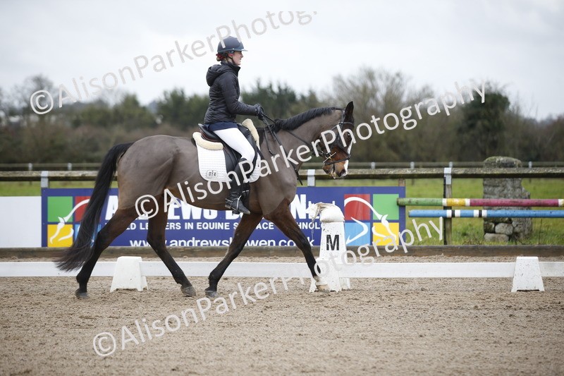 20260127-0259 - Class 16 - BD Novice 2