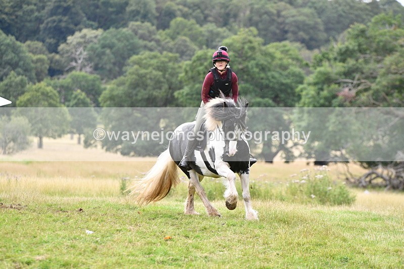 WJ5_2474 - Time at Jump 14:02 to 14:46