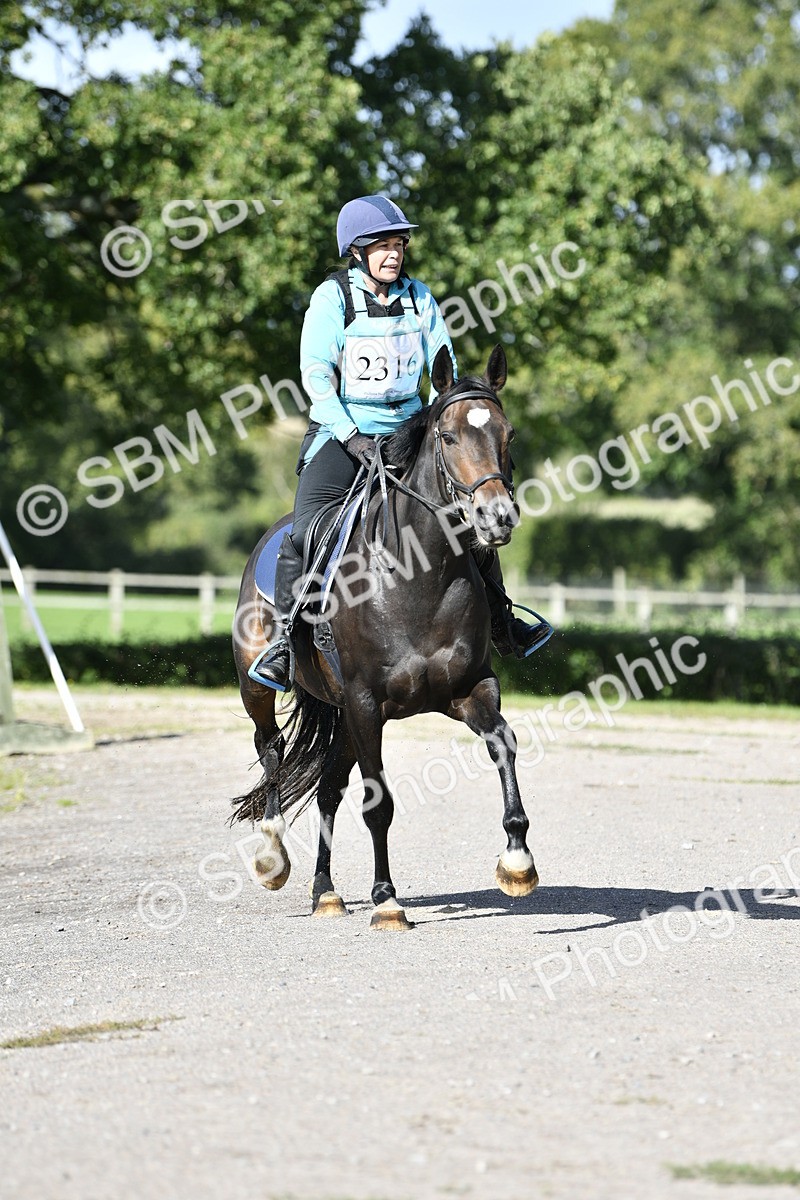 SBM_17696 - E4b - Eventers Challenge 60cm Open