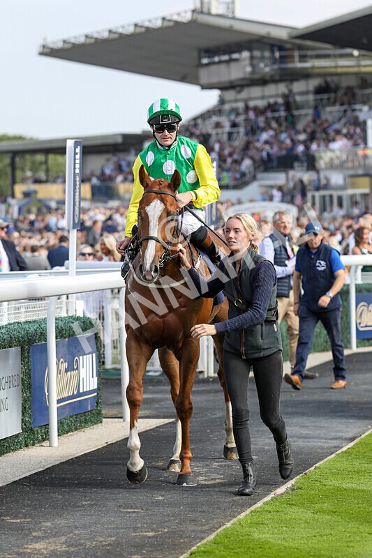 310824-Race 3-Frank The Spark-1377 - Race 3