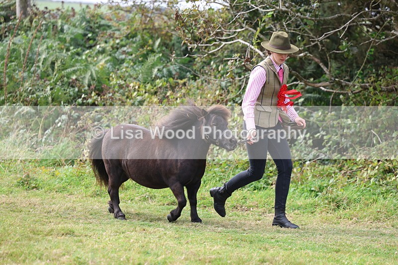 3E7A5655 - In Hand Championship