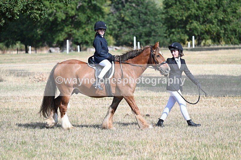 WJ7_2658 - Class 8 Ridden Tack & Turnout