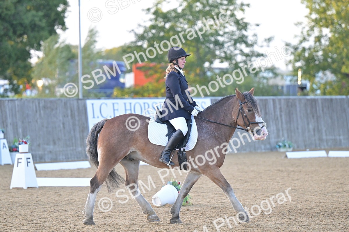 SBM_13551 - D3 - Small Tour Championship Intro 3