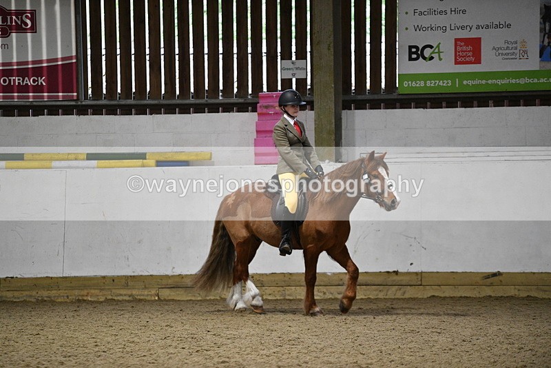 WJ5_8207 - Class 14 Novice Ridden/Rider