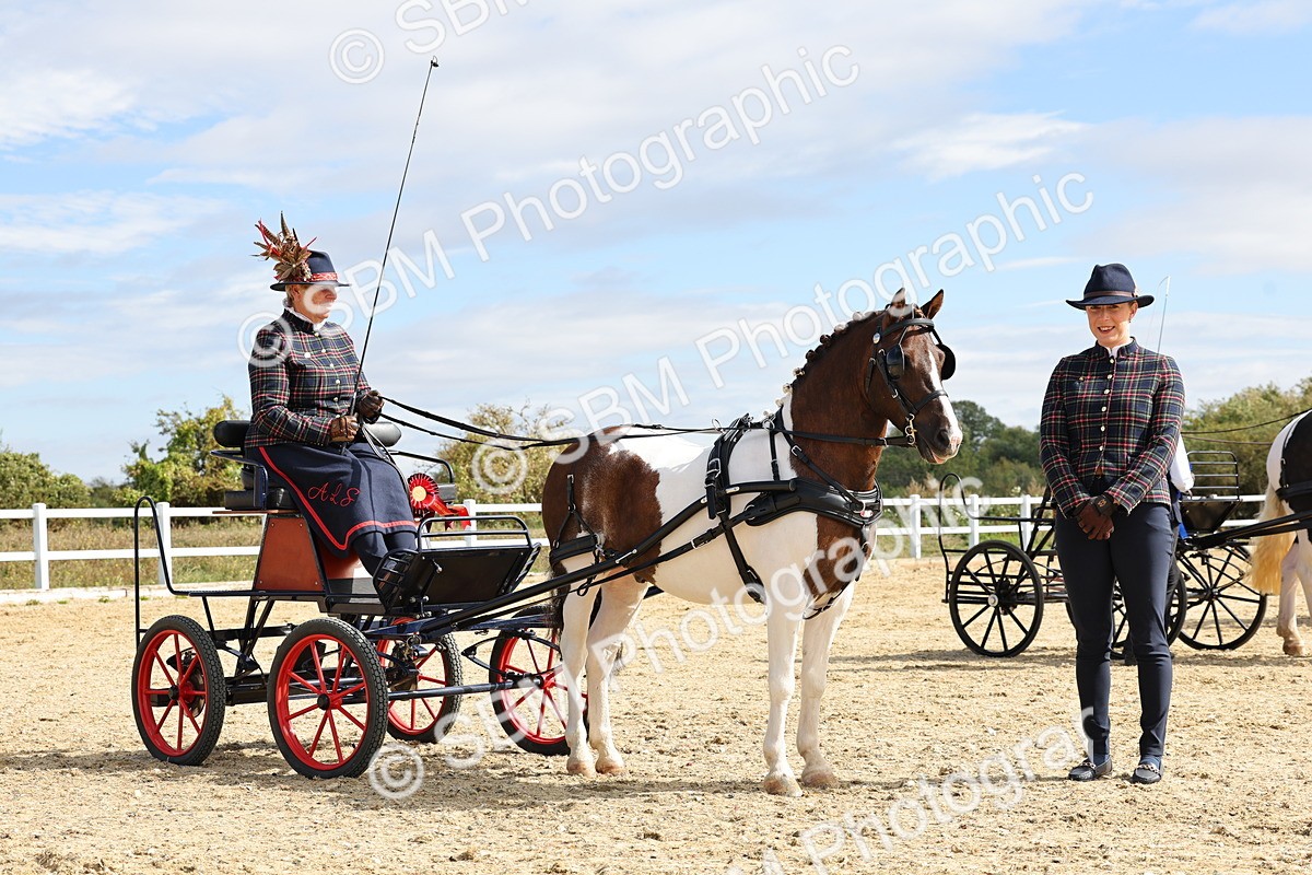 SBM_000945 - Class 8 - Novice Horse or Pony to any vehicle