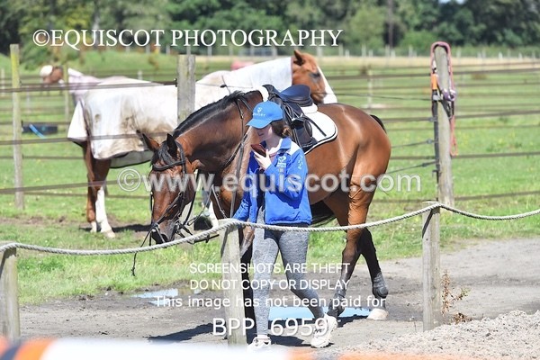 BPP_6959 - CLASS 7 Senior Foxhunter/ 1.20m Open