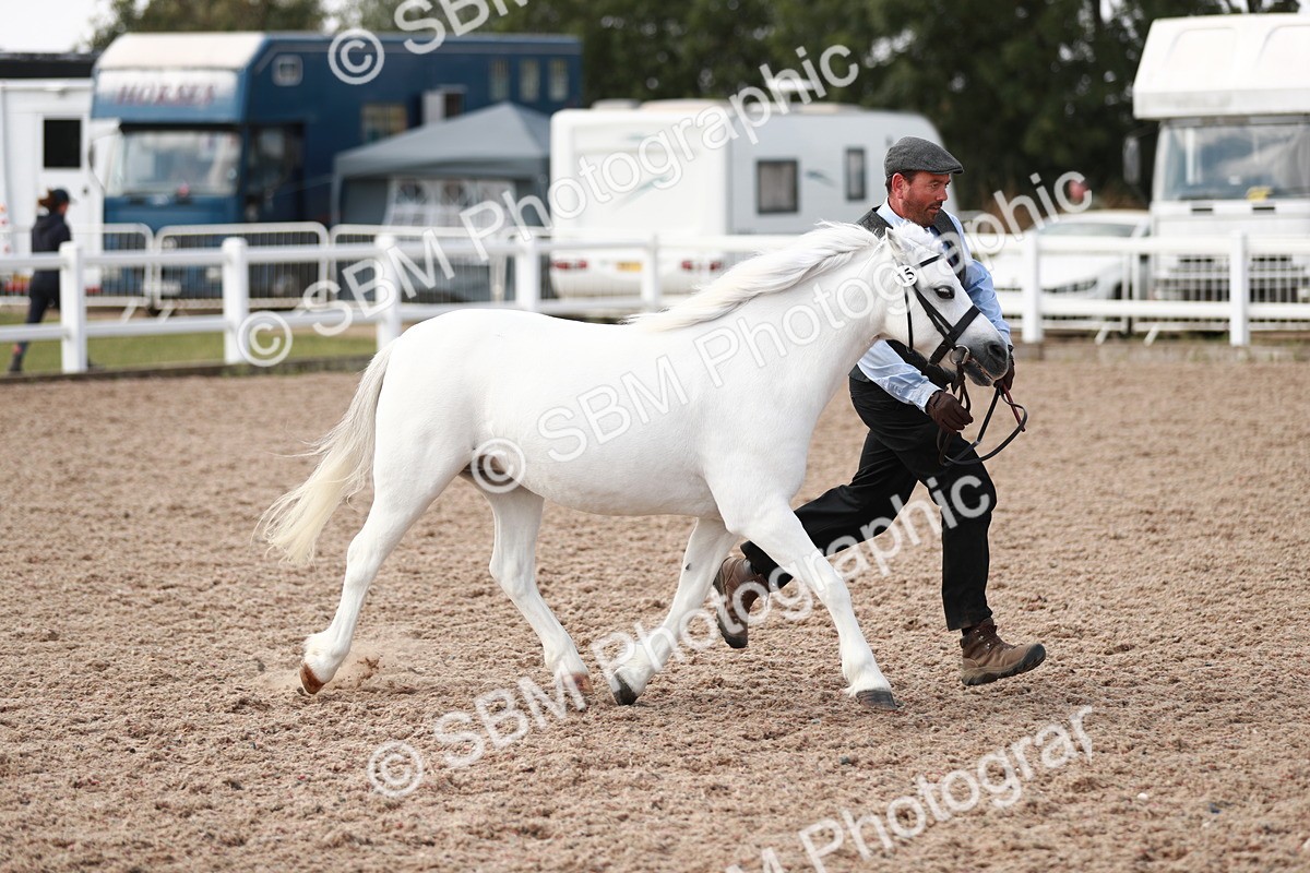 SBM_13835 - Class 209 IH Veteran Pony